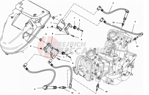 WIRING HARNESS (COIL)