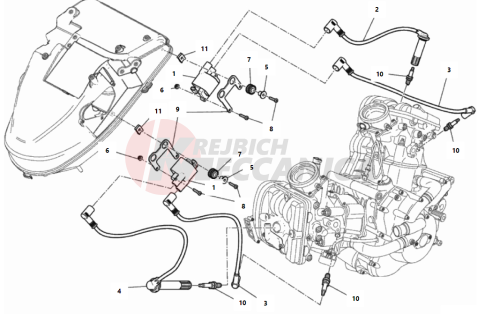 WIRING HARNESS (COIL)