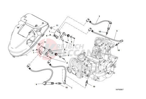 WIRING HARNESS (COIL)