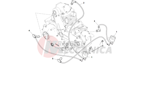 WIRING HARNESS (COIL)