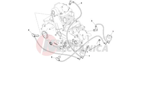 WIRING HARNESS (COIL)