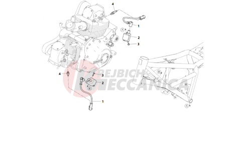 WIRING HARNESS (COIL)