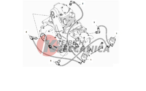 WIRING HARNESS (COIL)