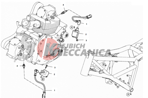 WIRING HARNESS (COIL)