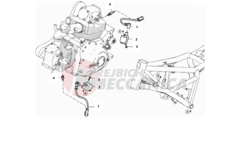 WIRING HARNESS (COIL)