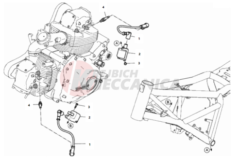 WIRING HARNESS (COIL)