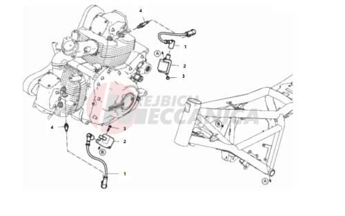 WIRING HARNESS (COIL)