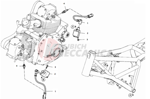 WIRING HARNESS (COIL)