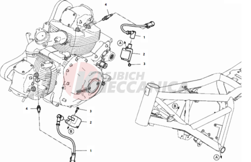 WIRING HARNESS (COIL)