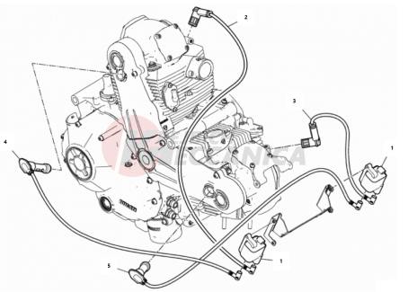 WIRING HARNESS (COIL)