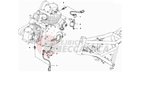 WIRING HARNESS (COIL)