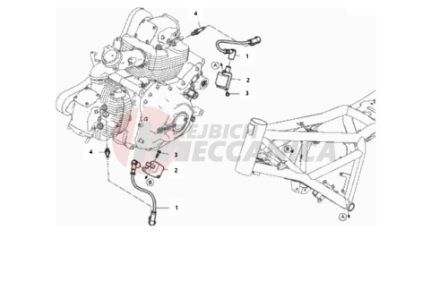 WIRING HARNESS (COIL)