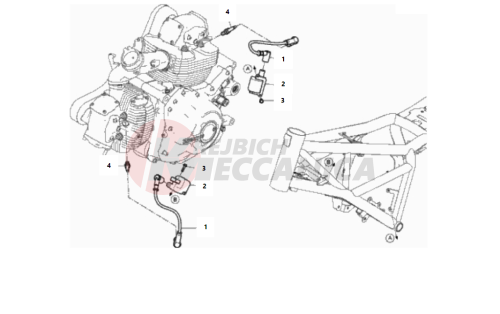 WIRING HARNESS (COIL)