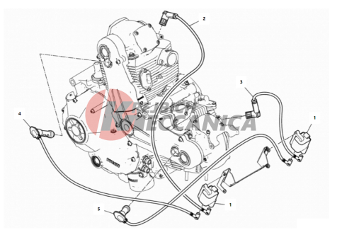 WIRING HARNESS (COIL)