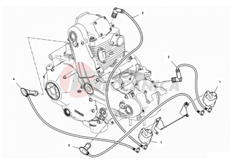 WIRING HARNESS (COIL)