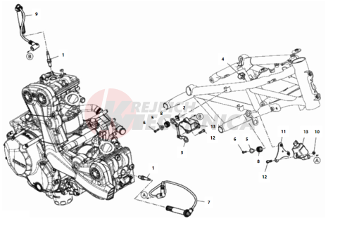 WIRING HARNESS (COIL)