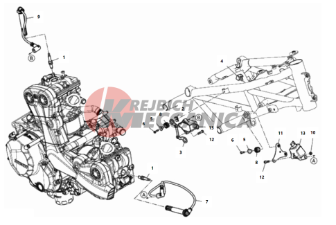 WIRING HARNESS (COIL)