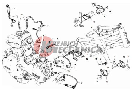 WIRING HARNESS (COIL)