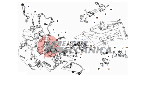 WIRING HARNESS (COIL)