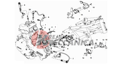 WIRING HARNESS (COIL)