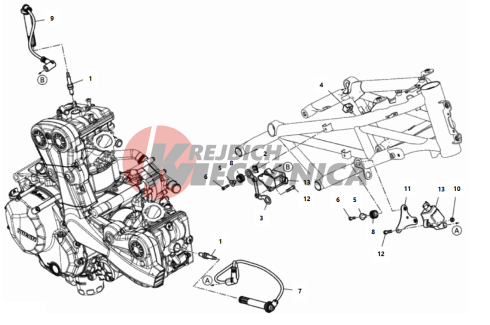 WIRING HARNESS (COIL)