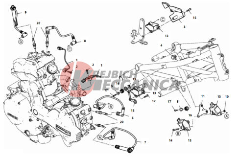 WIRING HARNESS (COIL)