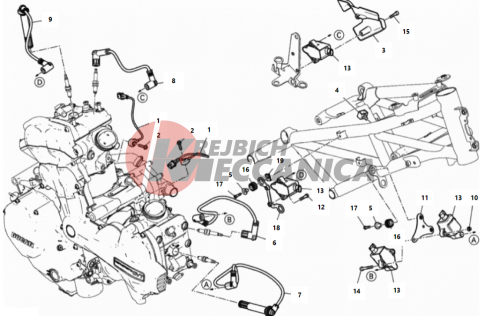 WIRING HARNESS (COIL)