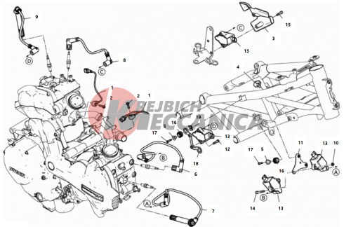 WIRING HARNESS (COIL)