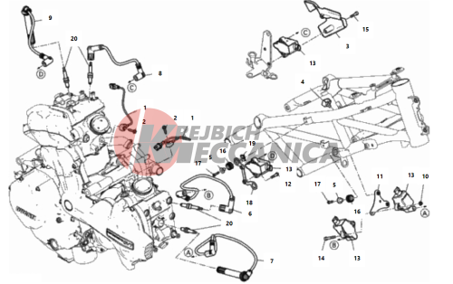 WIRING HARNESS (COIL)