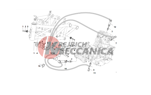 WIRING HARNESS (COIL)