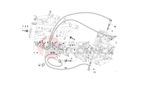 WIRING HARNESS (COIL)