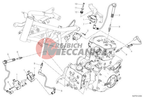 WIRING HARNESS (COIL)