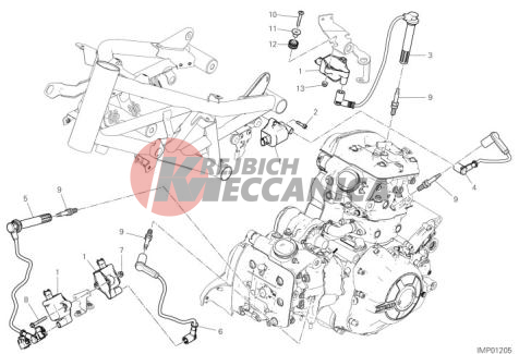 WIRING HARNESS (COIL)