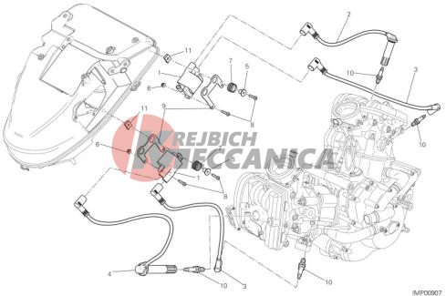 WIRING HARNESS (COIL)