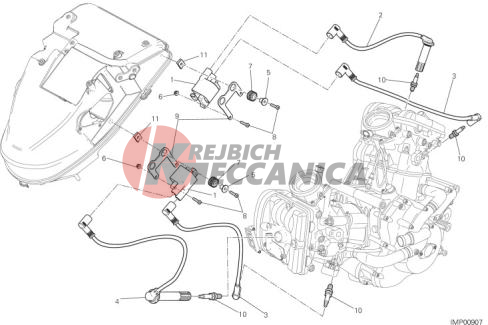 WIRING HARNESS (COIL)