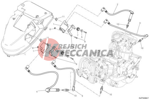 WIRING HARNESS (COIL)