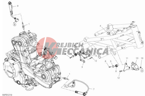 WIRING HARNESS (COIL)