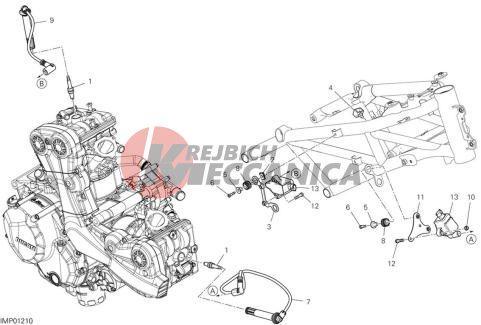 WIRING HARNESS (COIL)