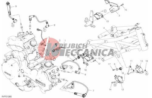 WIRING HARNESS (COIL)