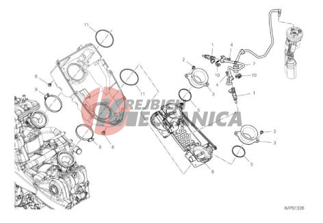 THROTTLE BODY