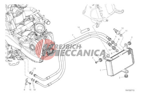OIL COOLER