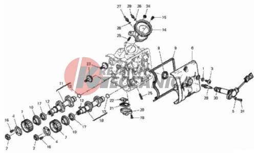 HORIZONTAL HEAD – TIMING SYSTEM