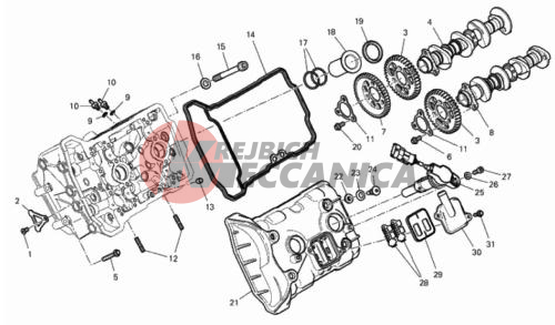 FRONT HEAD - TIMING SYSTEM