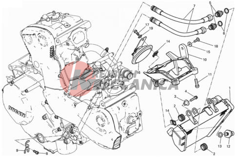 OIL COOLER