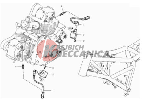 WIRING HARNESS (COIL)