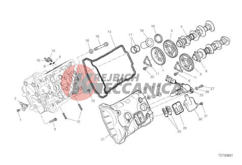 FRONT HEAD - TIMING SYSTEM
