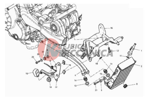 OIL COOLER