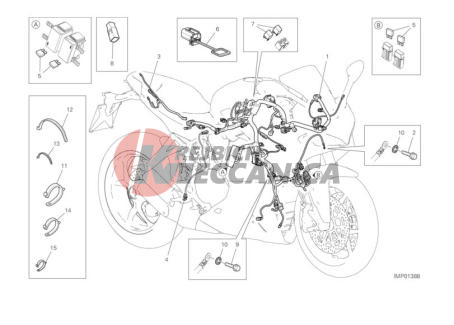 WIRING HARNESS