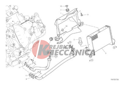 OIL COOLER