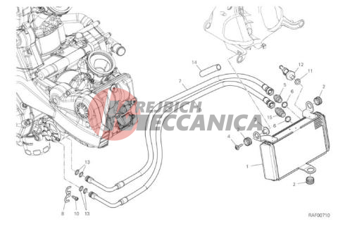 OIL COOLER